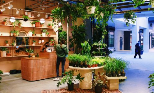 REWILD Ballston Quarter