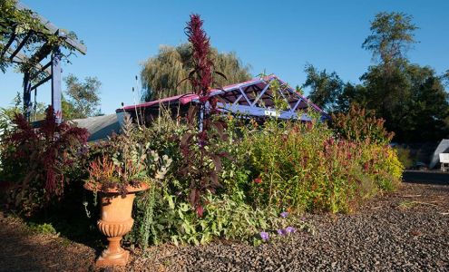 Morningside Farm & Nursery 7855 Griffinsburg Rd, Boston Virginia 22713