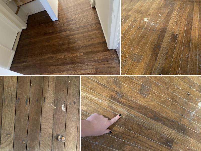 Young Kevin T Hardwood Floors