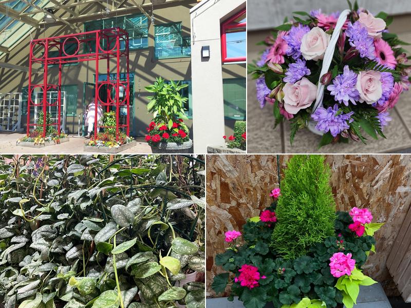 99 Nursery & Florist Inc