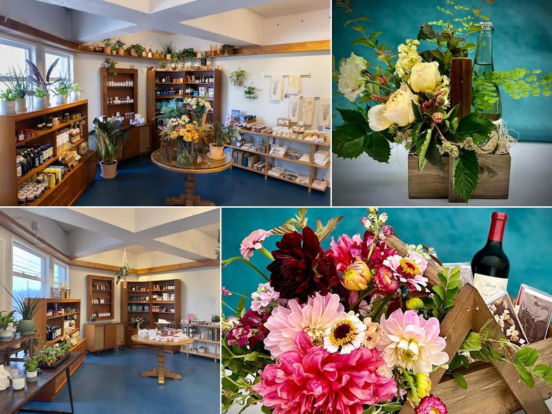 Campanula Design Studio