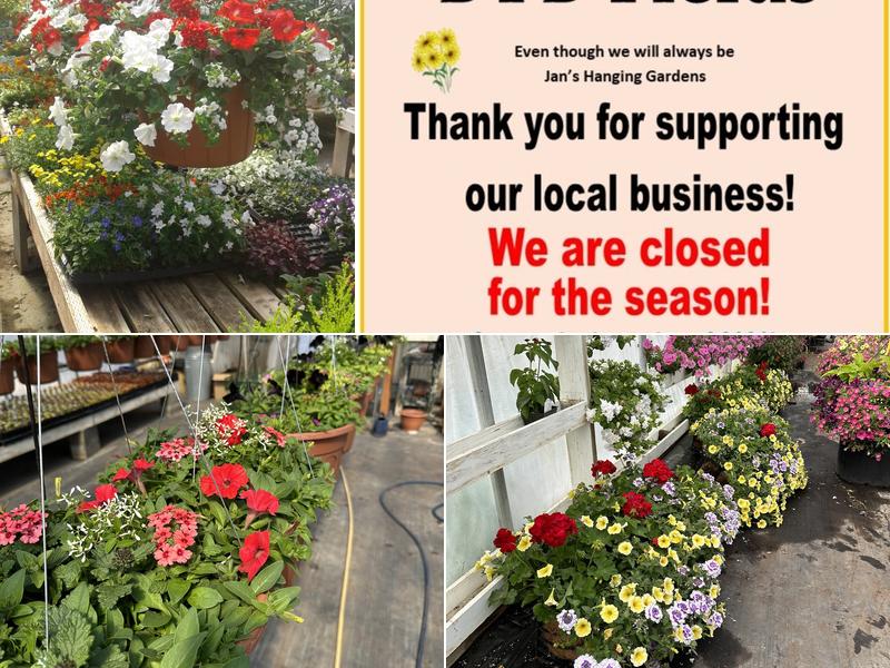 Jan's Hanging Gardens