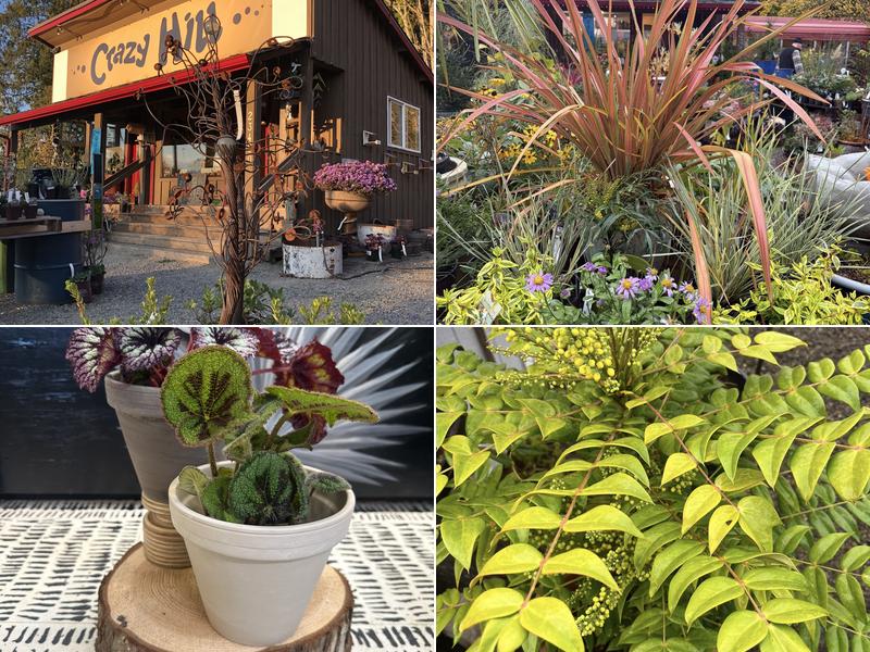 Crazy Hill Garden & Botanicals