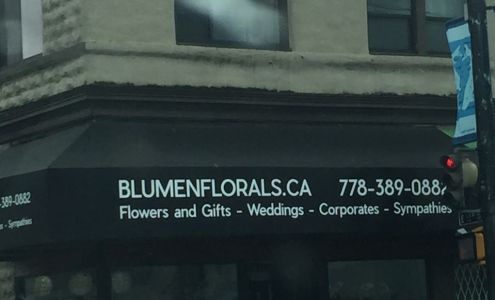 Blumen Florals