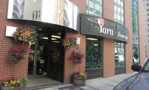 Yara Flowers | Calgary Flower Delivery