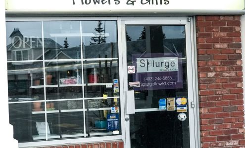 BlossomsYYC (splurge flowers)