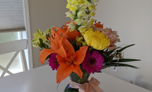 Blooms & Butterflies