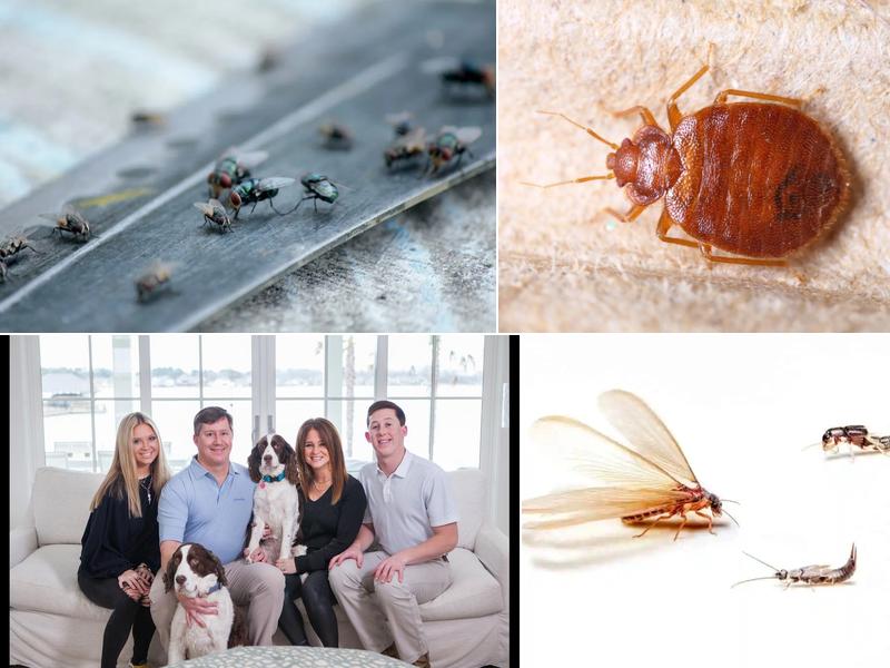 Synergy2 | Jackson Pest Control