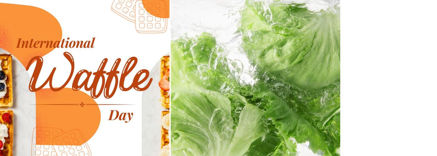 Shop-All/Sante Fe Grill