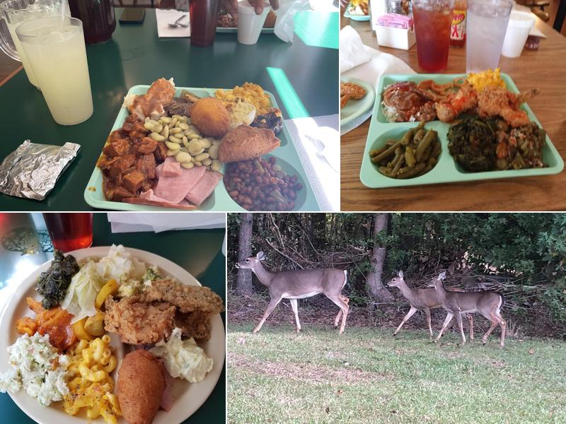 Debruhl Cafe 2020 W Dekalb St, Camden