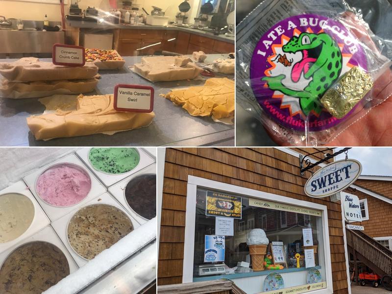 Ice Castle 319 Bay Walk, Ocean Beach