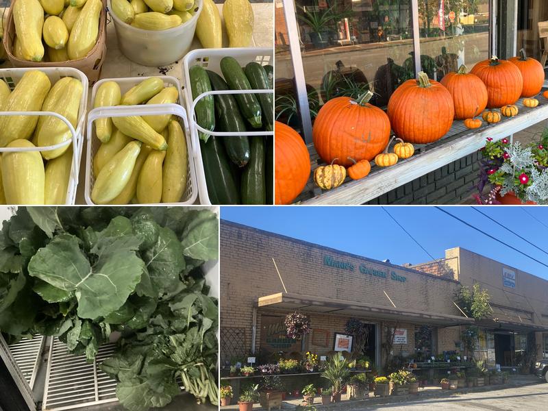 Mann's Home & Garden Shop