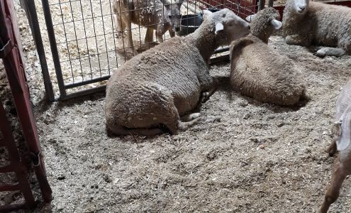 New River Valley Fairgrounds