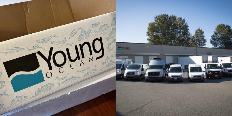 Young Ocean Inc 20233 80th Ave S, Kent