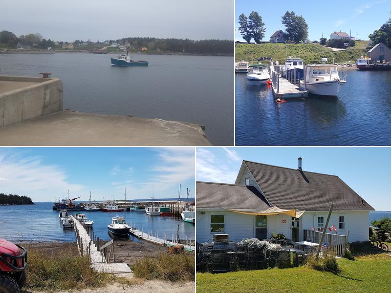 Patrick's Island Bistro