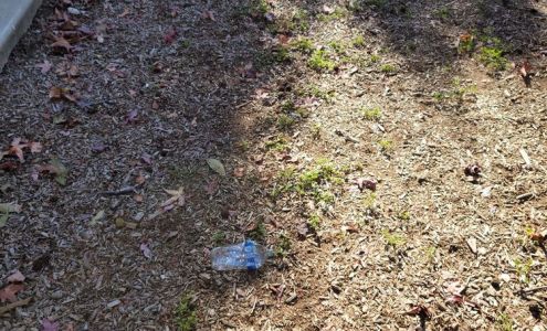 Canyon Club Apartments