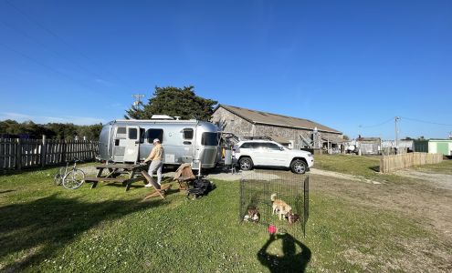 Jerniman's Campground Ocracoke