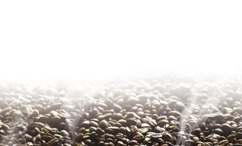 Jim's Organic Coffee 21 Patterson Brook Rd, West Wareham Massachusetts 02576