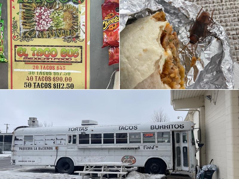 Taco Bus 113 E Ellis St, Paul