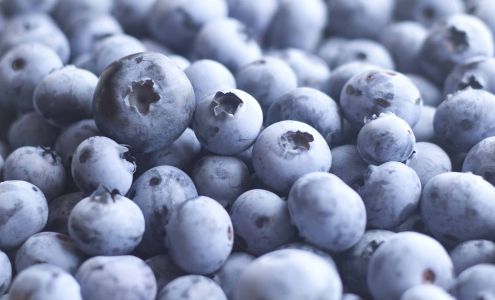 Wilmot Orchards Inc Newcastle