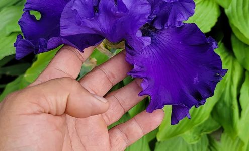 The Inverness Pantry Inverness