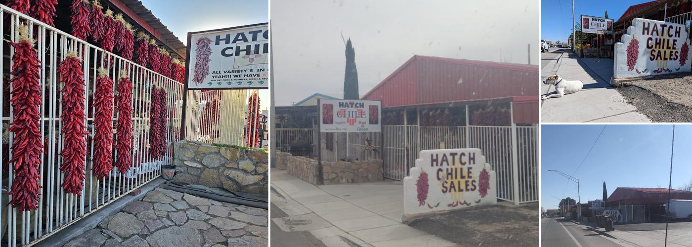 hatch chile peppers