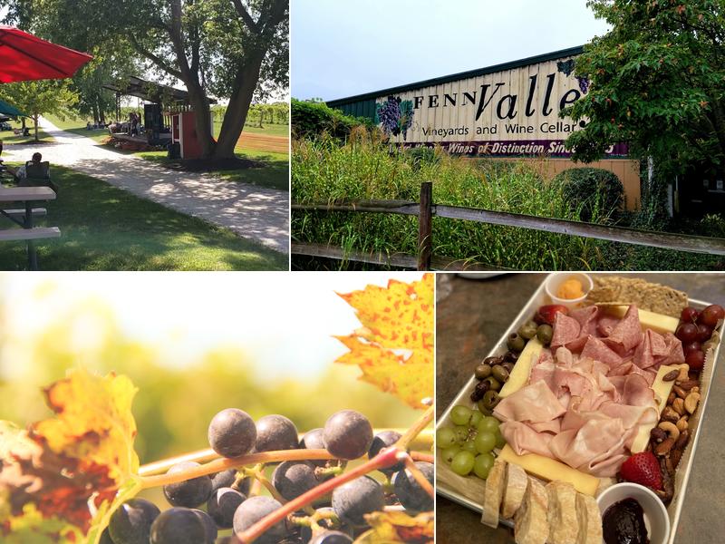 Fenn Valley Vineyards 6130 122nd Ave, Fennville