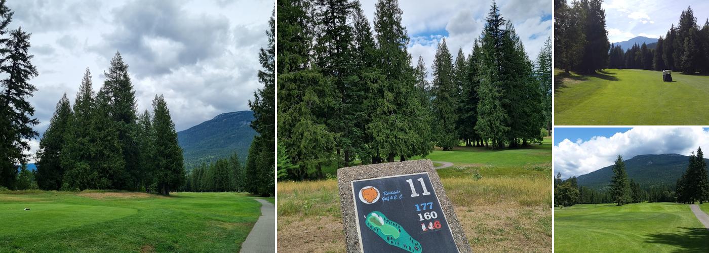 The Point Revelstoke