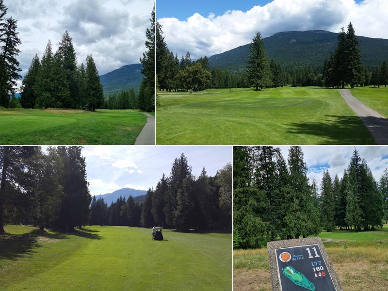 The Point Revelstoke