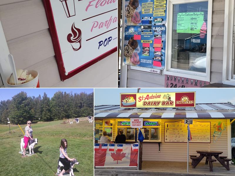 St Antoine Dairy Bar