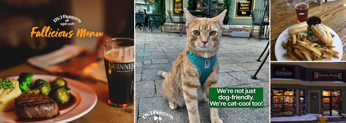 MJ Byrne's Irish Pub