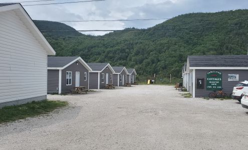 Blue Whale Diner, Convenience and Gas Bar Trout River