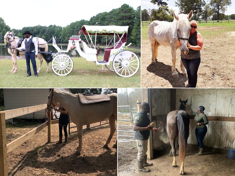 Mo's Carriages and Trail Rides