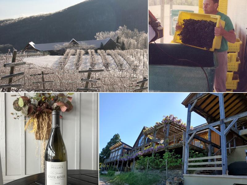 Linden Vineyards 3708 Harrels Corner Rd, Linden
