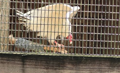 Wildlife Sanctuary of Northwest Florida