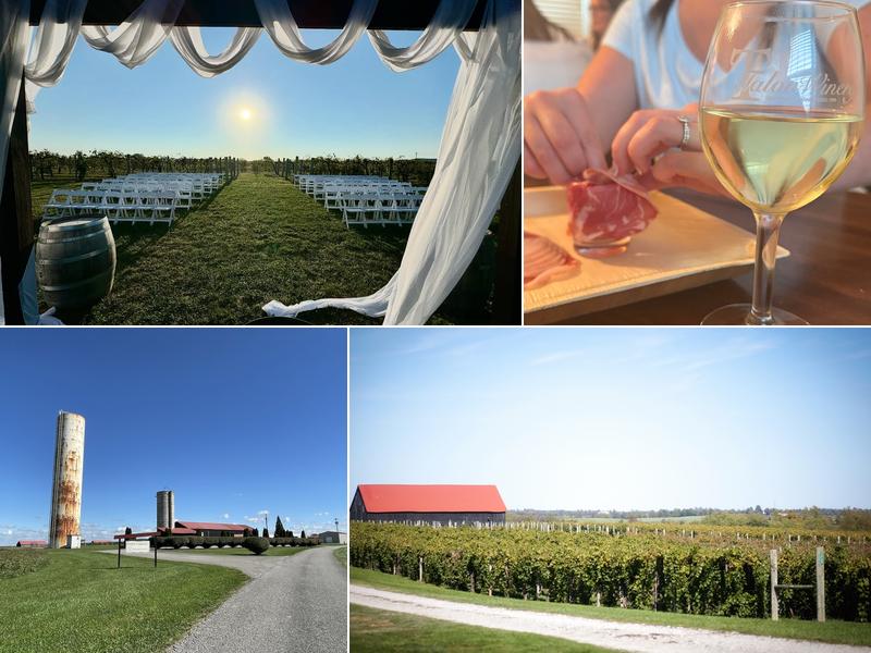 Talon Winery & Vineyards 7086 Tates Creek Rd, Lexington