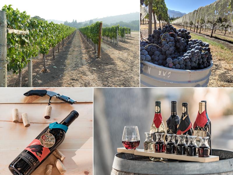Grizzly Peak Winery