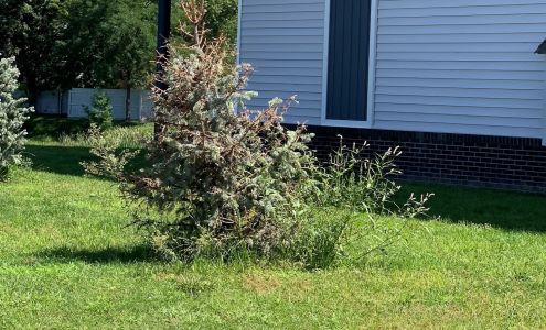 Covington by the Lake