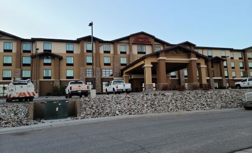 Hampton Inn & Suites Douglas