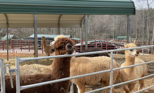 North Georgia Wildlife Park and Safari