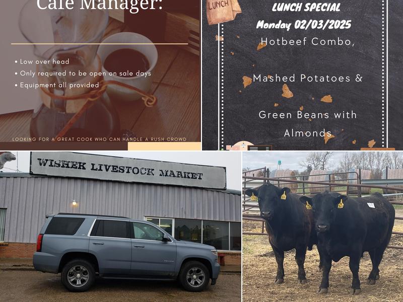 Wishek Livestock Restaurant