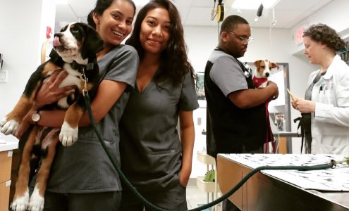 Tribeca Veterinary Wellness 256 West St, New York New York 10013