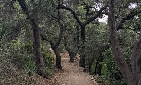 Hahamongna Watershed Park