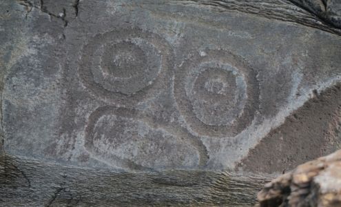 Petroglyph Beach State Historic Site Wrangell