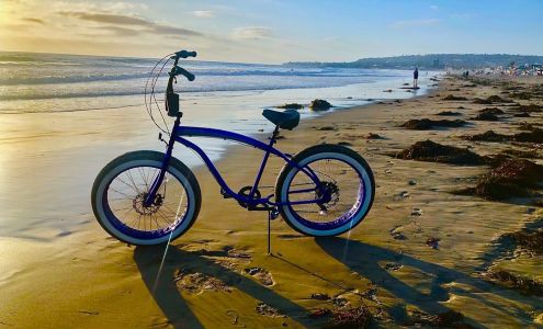 BEACH CRUISER WAREHOUSE - FAT TIRE - SIKK QUALITY BICYCLES