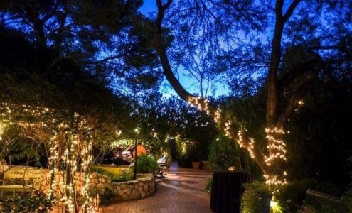 Tucson Botanical Gardens