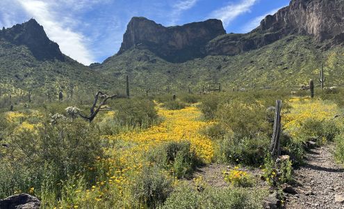 Picacho Peak State Park Picacho