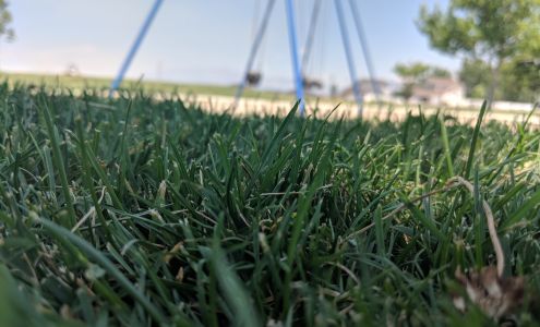 Kestrel Park Clinton