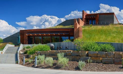 The Brinton Museum Big Horn