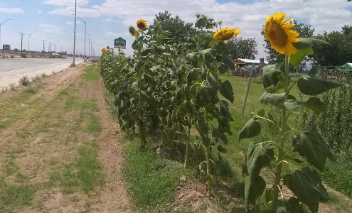 El Paso's Cornmaze Pumpkin Patch and More! Christmas on the Farm Dec. 16-23, 2023
